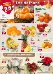 Gazetka promocyjna Rewe - REWE Ihr Kaufpark - Gazetka - ważna od 18.12 do 18.12.2021 - strona 2 - produkty: ananas, banane, bananen, beutel, bio, blume, blumen, Blüte, chiquita, clementinen, eis, , fleisch, früchte, honig, Honigpomelo, Kaki, Mett, orange, orangen, orchidee, pflanze, pflanzen, Pomelo, saft, Saftorangen, Schmetterling, schmetterlingsorchidee, tafeläpfel, Ti, tisch, topf, übertopf, Weihnachtsstern