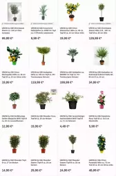 Gazetka promocyjna Obi - Prospekte - Gazetka - ważna od 27.12 do 27.12.2023 - strona 8 - produkty: Bau, citrus, dip, Garten, kokos, lachs, olive, oliven, Ti, topf