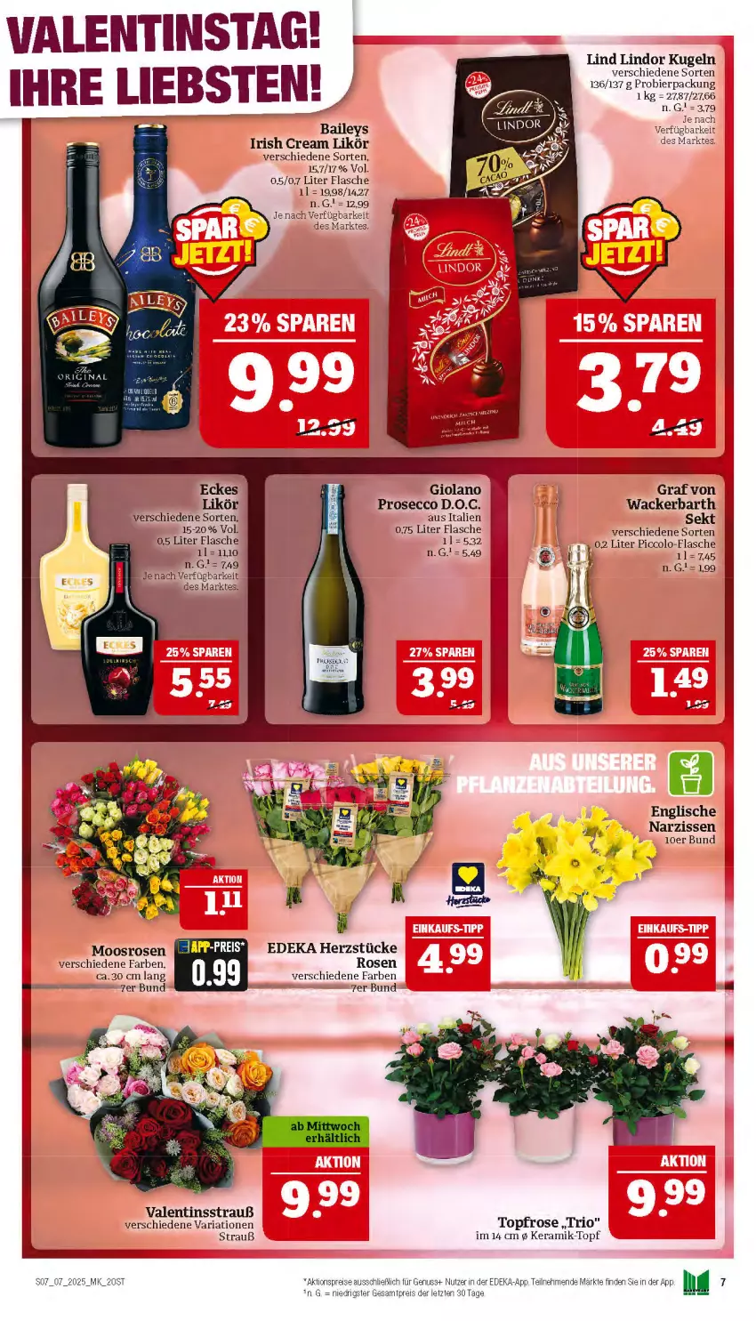 Aktueller Prospekt Marktkauf - Prospekt - von 09.02 bis 15.02.2025 - strona 7 - produkty: aktionspreis, baileys, bier, deka, ecco, eis, flasche, irish cream, Kugel, likör, lindor, Narzissen, nuss, prosecco, reis, Ria, rosen, sekt, Ti, topf, ZTE