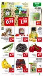 Gazetka promocyjna Marktkauf - Prospekt - Gazetka - ważna od 15.02 do 15.02.2025 - strona 9 - produkty: banane, bananen, beutel, bio, braun, champignon, champignons, champignons braun, deka, eis, elle, feinschmecker, florette, gurke, honig, Honigtomaten, kartoffel, kartoffeln, kopfsalat, papier, paprika, pflaume, pflaumen, reis, salat, Salatgurke, Salatmix, Stier, Ti, tomate, tomaten, ZTE