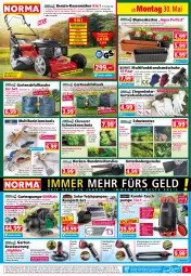 Gazetka promocyjna Norma - Norma - Gazetka - ważna od 06.06 do 06.06.2022 - strona 3 - produkty: aqua, asti, Bebe, beleuchtung, blume, blumen, braun, brause, Brei, dell, Dosenöffner, edelstahl, eis, elle, fernbedienung, Flachsaugerpumpe, flasche, flaschenöffner, gabel, Garten, Gartenbrause, Gartenpumpe, gin, handschuhe, HP, kraft, Kraut, Kugel, lachs, led-beleuchtung, LG, Löffel, messer, Mode, ndk, orange, pfanne, pfannen, Pfannenwender, pflanze, pflanzen, rasen, rasenmäher, reifen, Reinigung, reis, ring, sac, schuhe, Schutznetz, Tasche, Ti, tisch, tragegriff, wasser