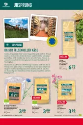 Gazetka promocyjna Selgros - Food - Gazetka - ważna od 31.05 do 31.05.2023 - strona 16 - produkty: auer, Bau, Bauer, bio, burger, eis, elle, Heu, heumilch, Kaiser, Käse, kräuter, LG, Liege, mac, milch, reifen, reis, rezept, salz, Ti, Tilsiter