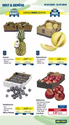Gazetka promocyjna Metro - Wochen-Angebote - Gazetka - ważna od 12.07 do 12.07.2025 - strona 7 - produkty: ananas, angebot, aqua, beere, beeren, beutel, eis, filet, filets, fisch, fleisch, galiamelone, garnelen, heidelbeere, heidelbeeren, lachs, melone, melonen, Metro, Nektar, nektarinen, obst, Pangasius, Räucherlachs, reis, Ti
