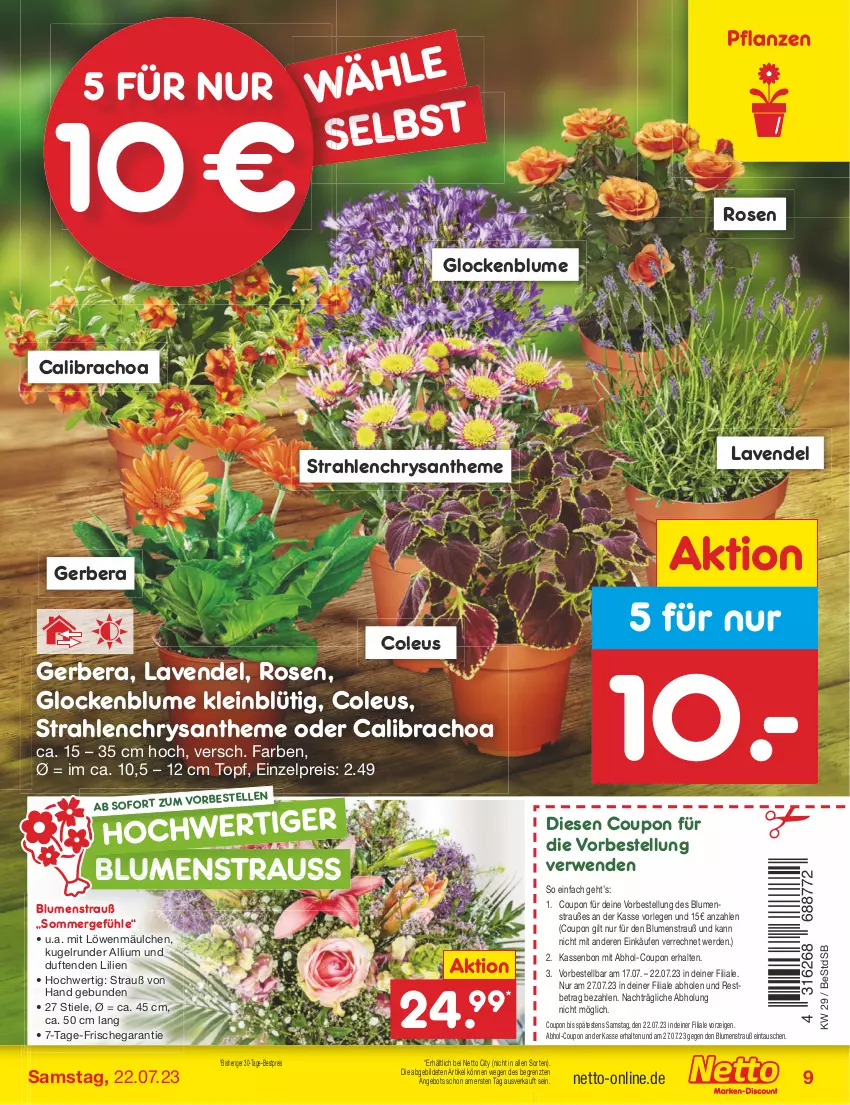 Aktueller Prospekt Netto Marken-Discount - Filial-Angebote - von 17.07 bis 22.07.2023 - strona 9 - produkty: angebot, bestpreis, blume, blumen, Blumenstrauß, calibrachoa, coupon, eis, elle, erde, Gerber, Kugel, lavendel, pflanze, pflanzen, reis, rosen, rwe, Ti, topf, ZTE