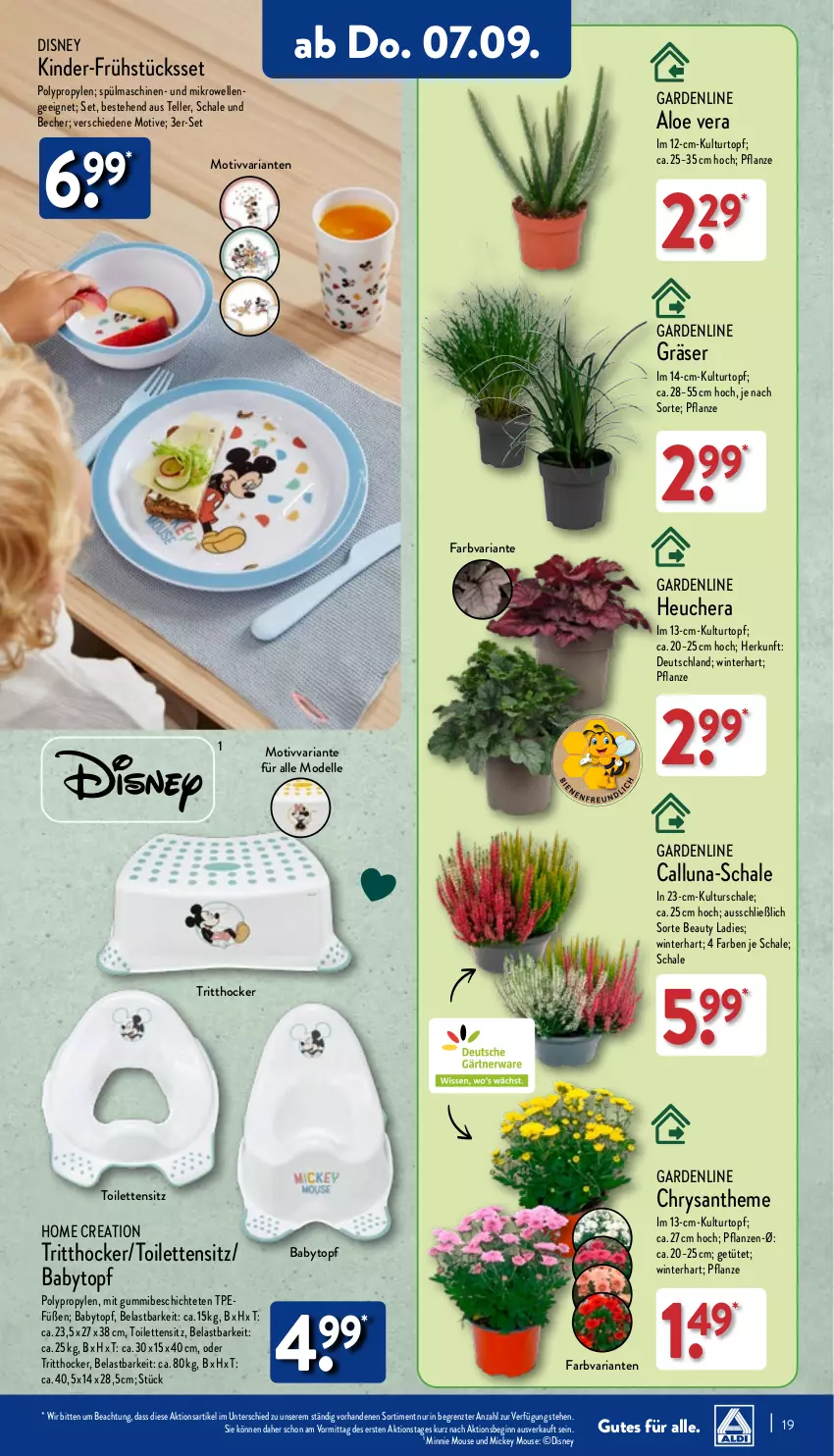 Aktueller Prospekt Aldi Nord - Von Montag - von 04.09 bis 09.09.2023 - strona 19 - produkty: Becher, Blüte, Brei, dell, disney, elle, gin, Heu, hocker, Kinder, kulturtopf, mikrowelle, Mode, pflanze, pflanzen, Ria, Schal, Schale, spülmaschinen, teller, Ti, topf, Tüte, ZTE