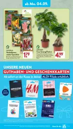 Gazetka promocyjna Aldi Nord - Von Montag - Gazetka - ważna od 09.09 do 09.09.2023 - strona 15 - produkty: beutel, blume, blumen, Blüte, Brei, Ficus, gin, kulturtopf, Pachira, pflanze, pflanzen, Spezi, Ti, topf, ZTE, zwiebel