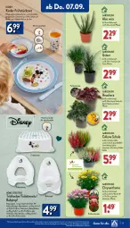Gazetka promocyjna Aldi Nord - Von Montag - Gazetka - ważna od 09.09 do 09.09.2023 - strona 19 - produkty: Becher, Blüte, Brei, dell, disney, elle, gin, Heu, hocker, Kinder, kulturtopf, mikrowelle, Mode, pflanze, pflanzen, Ria, Schal, Schale, spülmaschinen, teller, Ti, topf, Tüte, ZTE