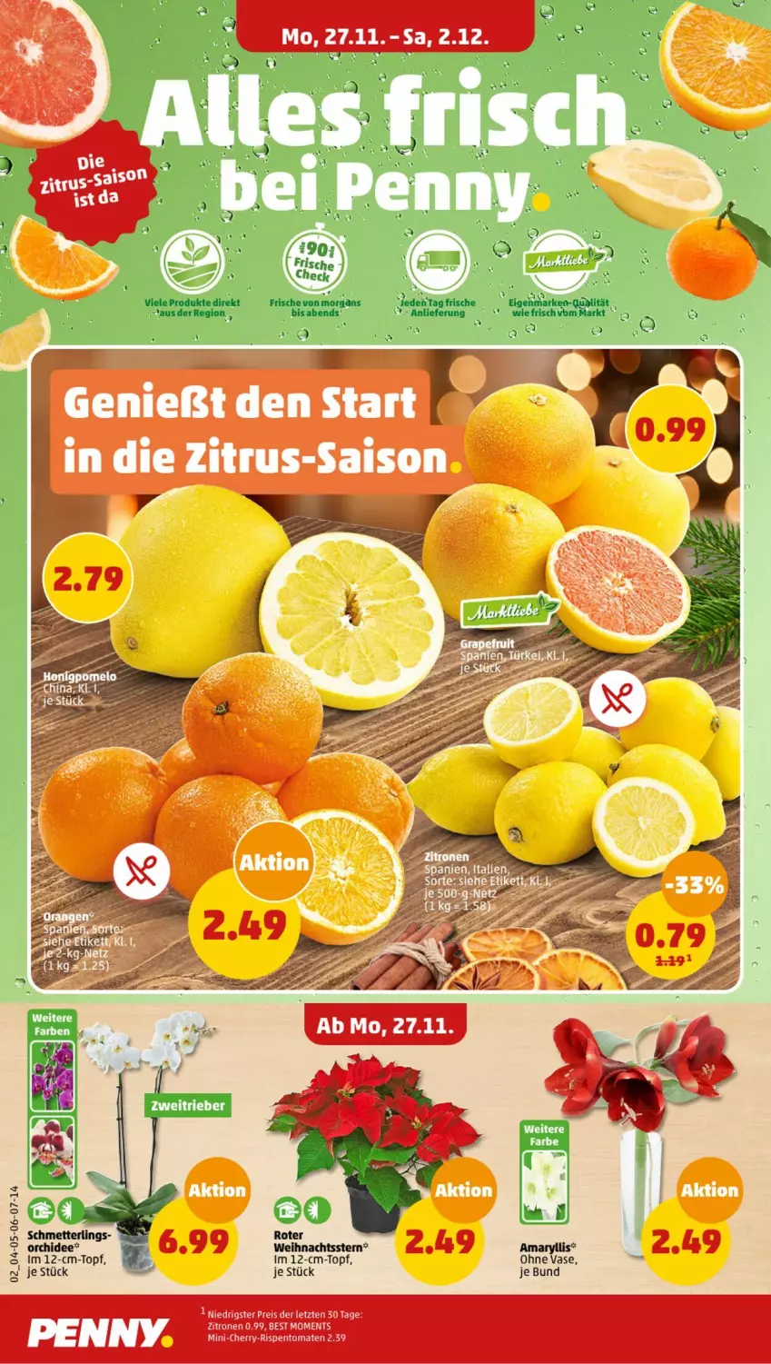 Aktueller Prospekt Penny - Prospekte - von 27.11 bis 02.12.2023 - strona 2 - produkty: eis, orchidee, tomate, tomaten, topf, Vase, Yo, ZTE