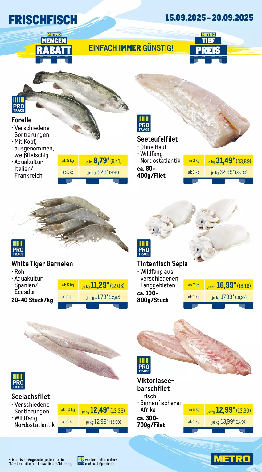 Aktueller Prospekt Metro - Wochen-Angebote - von 15.09 bis 20.09.2025 - strona 5 - produkty: Abtei, angebot, angebote, aqua, beef, burger, eis, elle, entrecôte, filet, fisch, fische, Fischer, fleisch, forelle, frischfisch, garnelen, lachs, lachsfilet, Metro, reis, rel, Ria, rind, rinder, rinderfilet, roastbeef, Schere, seelachsfilet, sim, Ti, tiefpreis, Wild