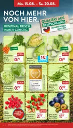 Gazetka promocyjna Aldi Nord - Aldi-Vorschau - Gazetka - ważna od 20.08 do 20.08.2022 - strona 2 - produkty: beere, beeren, bohne, bohnen, eis, eisbergsalat, ente, erdbeere, erdbeeren, gin, himbeer, himbeere, himbeeren, kohlrabi, möhren, natur, salat, Schal, Schale, spitzkohl, Ti, ZTE