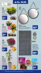 Gazetka promocyjna Aldi Nord - Aldi-Vorschau - Gazetka - ważna od 20.08 do 20.08.2022 - strona 24 - produkty: Blüte, Brei, chrysanthemen, dell, elle, gin, Holz, Kalanchoe, kulturtopf, Läufer, Mode, pflanze, pflanzen, Ria, spiegel, Ti, timer, topf, übertopf, ZTE
