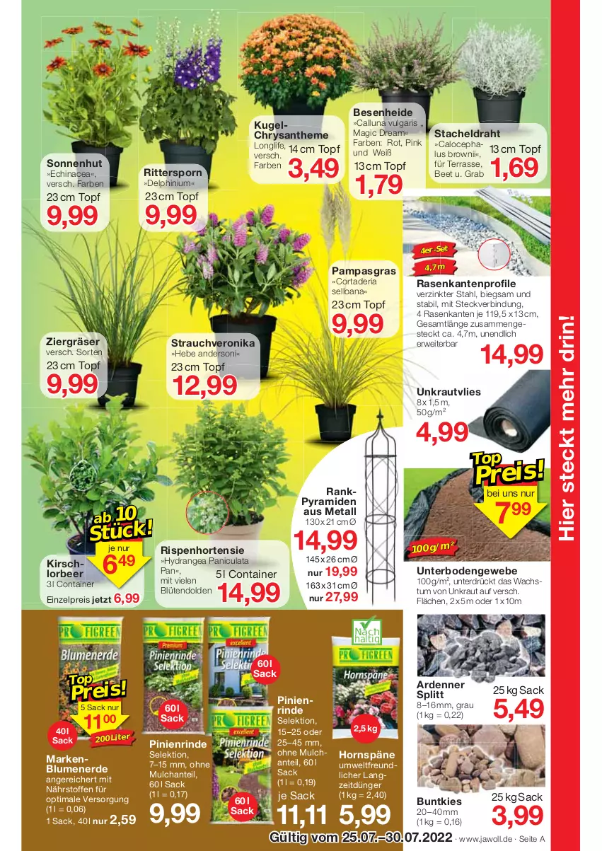 Aktueller Prospekt Jawoll - Prospekte - von 24.07 bis 30.07.2022 - strona 9 - produkty: blume, blumen, blumenerde, Blüte, Container, Draht, dünger, Echinacea, eis, erde, hortensie, hydrangea, Hydrangea paniculata, kirsch, Kraut, Kugel, LG, longlife, rasen, Rauch, reis, Ria, rind, ritter, rwe, sac, Ti, topf