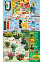 Gazetka promocyjna Jawoll - Prospekte - Gazetka - ważna od 30.07 do 30.07.2022 - strona 4 - produkty: auer, ball, Bau, Bauer, Behälter, bier, blume, blumen, blumenerde, bree, chardonnay, chrysanthemen, drink, dünger, eis, eistee, elle, energy drink, Engel, erde, erdnüsse, flasche, Garten, Hohes C, holsten, holsten pilsener, hortensie, keks, kekse, Lagerbier, merl, merlot, orange, pfanne, Pfanner, pflanze, pflanzen, pflanzerde, pils, pilsener, Pinot, pinot noir, rasen, rasendünger, riesling, Rockstar, sac, salz, Schal, Schale, tee, Ti, topf, tuc, wein, weine