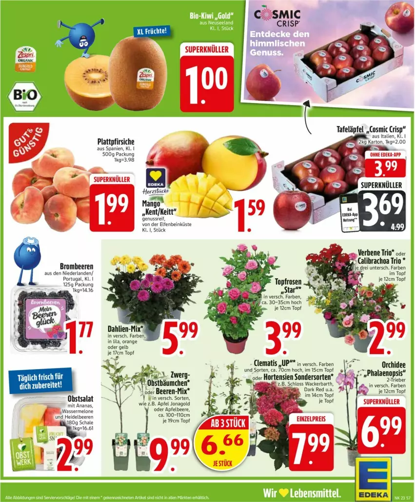 Aktueller Prospekt Edeka - Prospekte - von 02.06 bis 07.06.2025 - strona 9 - produkty: ananas, apfel, beere, beeren, brombeere, brombeeren, dahlie, eis, heidelbeere, heidelbeeren, hortensie, hortensien, mango, melone, nuss, obst, orange, orchidee, pfirsich, pfirsiche, phalaenopsis, plattpfirsiche, reis, rosen, salat, Ti, topf, wasser, wassermelone