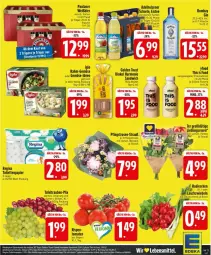 Gazetka promocyjna Edeka - Prospekte - Gazetka - ważna od 07.06 do 07.06.2025 - strona 29 - produkty: beutel, bier, flasche, golden toast, Paula, paulaner, Pfingstrosen, rosen, sandwich, tafeltrauben, Ti, toast, trauben