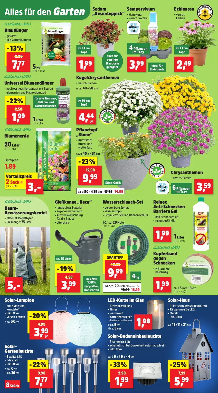 Aktueller Prospekt Thomas Philipps - von 21.07 bis 26.07.2025 - strona 2 - produkty: akku, auto, batterie, batterien, Bau, beutel, blume, blumen, blumenerde, brause, chrysanthemen, dünger, Echinacea, edelstahl, eis, ente, erde, Garten, Gartenpflanze, Gießkanne, Hauswurz, kerze, Kugel, LED-Kerze, leds, Leuchte, LG, magnesium, pflanze, pflanzen, Pflanztopf, reis, Ria, rosen, sac, Schal, schlauch, Sempervivum, spartipp, teppich, Ti, timer, tisch, topf, vorteilspreis, wasser, Wasserschlauch