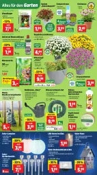 Gazetka promocyjna Thomas Philipps - Gazetka - ważna od 26.07 do 26.07.2025 - strona 2 - produkty: akku, auto, batterie, batterien, Bau, beutel, blume, blumen, blumenerde, brause, chrysanthemen, dünger, Echinacea, edelstahl, eis, ente, erde, Garten, Gartenpflanze, Gießkanne, Hauswurz, kerze, Kugel, LED-Kerze, leds, Leuchte, LG, magnesium, pflanze, pflanzen, Pflanztopf, reis, Ria, rosen, sac, Schal, schlauch, Sempervivum, spartipp, teppich, Ti, timer, tisch, topf, vorteilspreis, wasser, Wasserschlauch