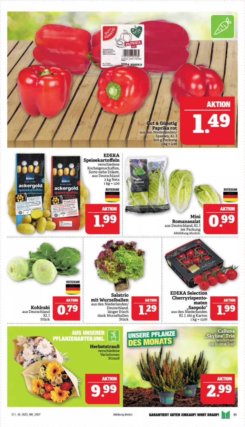 Aktueller Prospekt Marktkauf - Prospekt - von 01.10 bis 07.10.2023 - strona 11 - produkty: ackergold, ball, deka, eis, kartoffel, kartoffeln, kohlrabi, Romanasalat, salat, speisekartoffeln, Ti