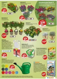 Gazetka promocyjna Vmarkt - Prospekte - Gazetka - ważna od 21.05 do 21.05.2025 - strona 17 - produkty: angebot, angebote, aust, Bad, batterie, batterien, Bau, beetpflanzen, Begonia, Begonie, blume, blumen, blumenerde, brause, eis, elle, ente, erde, ferramol schneckenkorn, fisch, fische, Fliegenklatsche, Gießkanne, hortensie, hydrangea, hydrangea macrophylla, kerze, korn, LG, Liege, mac, obst, Ofen, orchidee, orchideen, pflanze, pflanzen, Ria, rosen, rum, schneckenkorn, Stier, Sukkulente, Ti, Tiere, topf