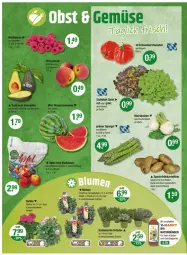 Gazetka promocyjna Vmarkt - Prospekte - Gazetka - ważna od 21.05 do 21.05.2025 - strona 4 - produkty: bio, dünger, eis, Frühkartoffeln, Garten, kartoffel, kartoffeln, kräuter, natur, salat, spargel, speisefrühkartoffeln, und gemüse