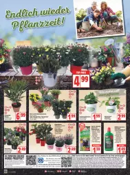 Gazetka promocyjna Edeka - Angebote der Woche - Gazetka - ważna od 30.04 do 30.04.2022 - strona 16 - produkty: angebot, angebote, balkonpflanzen, blume, blumen, blumenerde, deka, dip, dipladenia, dünger, eis, elle, Erdbeerpflanze, erde, lavendel, LG, Liege, papier, petunie, petunien, pflanze, pflanzen, rel, rhabarber, telefon, Ti, topf, uhr