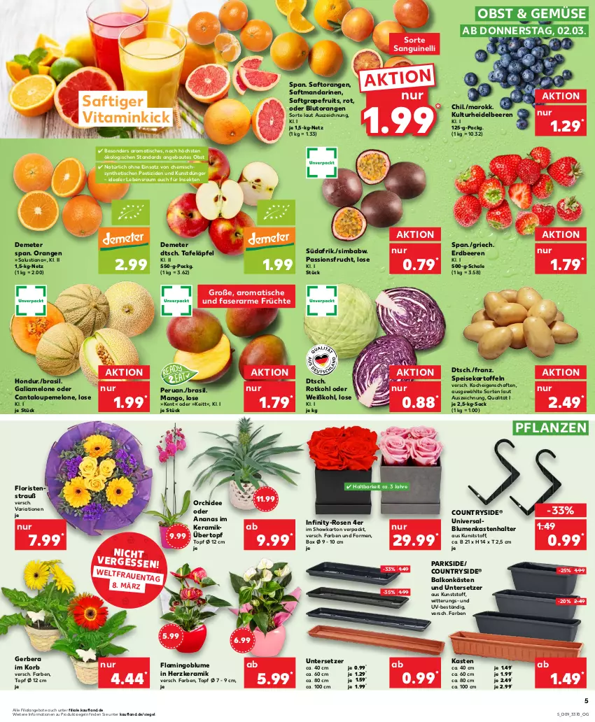 Aktueller Prospekt Kaufland - von 02.03 bis 08.03.2023 - strona 5 - produkty: ananas, angebot, angebote, Bau, beere, beeren, blume, blumen, Blutorange, dünger, eis, erdbeere, erdbeeren, frucht, früchte, galiamelone, Gerber, grapefruit, heidelbeere, heidelbeeren, kartoffel, kartoffeln, korb, Lusti, mandarine, mandarinen, mango, melone, obst, orange, orangen, orchidee, Parkside, passionsfrucht, pflanze, pflanzen, Ria, rosen, rotkohl, sac, saft, Saftorangen, Salus, Schal, Schale, sekt, sim, simba, speisekartoffeln, tafeläpfel, Ti, tisch, topf, topf ø 12 cm, übertopf, Untersetzer, vita, Weißkohl