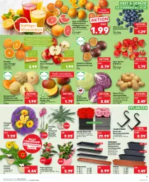 Gazetka promocyjna Kaufland - Gazetka - ważna od 08.03 do 08.03.2023 - strona 5 - produkty: ananas, angebot, angebote, Bau, beere, beeren, blume, blumen, Blutorange, dünger, eis, erdbeere, erdbeeren, frucht, früchte, galiamelone, Gerber, grapefruit, heidelbeere, heidelbeeren, kartoffel, kartoffeln, korb, Lusti, mandarine, mandarinen, mango, melone, obst, orange, orangen, orchidee, Parkside, passionsfrucht, pflanze, pflanzen, Ria, rosen, rotkohl, sac, saft, Saftorangen, Salus, Schal, Schale, sekt, sim, simba, speisekartoffeln, tafeläpfel, Ti, tisch, topf, topf ø 12 cm, übertopf, Untersetzer, vita, Weißkohl