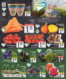 Gazetka promocyjna E Center - Angebote der Woche - Gazetka - ważna od 23.09 do 23.09.2023 - strona 3 - produkty: Alpenveilchen, bio, braun, champignon, champignons, champignons braun, chrysanthemen, Draht, eis, ente, Garten, Heidekraut, Heu, karotten, korb, Kraut, Kürbis, mac, petersilie, pflanze, pflanzen, reis, rispentomaten, Romatomaten, rosen, Rosenstrauß, Schal, Schale, super-knüller, Ti, tomate, tomaten, topf, ZTE