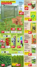 Gazetka promocyjna Thomas Philipps - Prospektwerbung - Gazetka - ważna od 18.03 do 18.03.2023 - strona 5 - produkty: abis, Bau, beere, beeren, blume, blumen, blumenerde, brie, Calcium, eis, erde, flieder, Garten, Gemüseerde, Gewächshaus, gin, Hängeampel, heidelbeere, heidelbeeren, heinz, hortensie, hortensien, hydrangea, kirsch, kissen, mac, magnesium, Narzissen, natur, obst, pavillon, pflanze, pflanzen, pflanzerde, rasen, Rauch, reis, Ria, rosen, sac, senf, Spezi, stauden, Ti, tomate, tomaten, topf, Untersetzer, vita, vorteilspreis, wasser, zwiebel