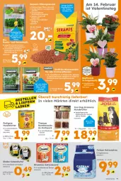 Gazetka promocyjna  - Gazetka - ważna od 14.02 do 14.02.2026 - strona 11 - produkty: auer, beutel, bio, blume, blumen, blumenerde, catsan, dreamies, ente, erde, Garten, hundesnack, hundesnacks, Kaktee, katzenfutter, katzensnack, Katzenstreu, pedigree, rasen, sac, Schal, Schale, sheba, snack, snacks, Spezi, Sukkulente, tee, Ti, wasser, ZTE