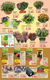 Gazetka promocyjna Jawoll - Prospekte - Gazetka - ważna od 03.09 do 03.09.2022 - strona 6 - produkty: blume, blumen, blumenerde, chrysanthemen, dünger, eis, elle, erde, Garten, Kraut, Kugel, LG, longlife, pflanze, pflanzen, pflanzerde, rasen, rasendünger, Rauch, rind, sac, Schal, Schale, Ti, topf