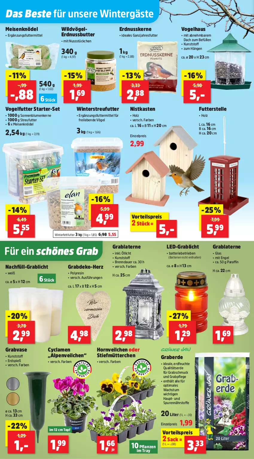 Aktueller Prospekt Thomas Philipps - von 06.10 bis 11.10.2025 - strona 2 - produkty: Alpenveilchen, auer, batterie, batterien, blume, blumen, butter, eis, elle, Engel, erde, erdnuss, Erdnussbutter, Holz, Knödel, laterne, Meisenknödel, nuss, pflanze, pflanzen, reis, sac, Schmuck, sonnenblume, sonnenblumen, Sonnenblumenkerne, Streufutter, Ti, topf, Vase, Vogelfutter, vorteilspreis, Wild