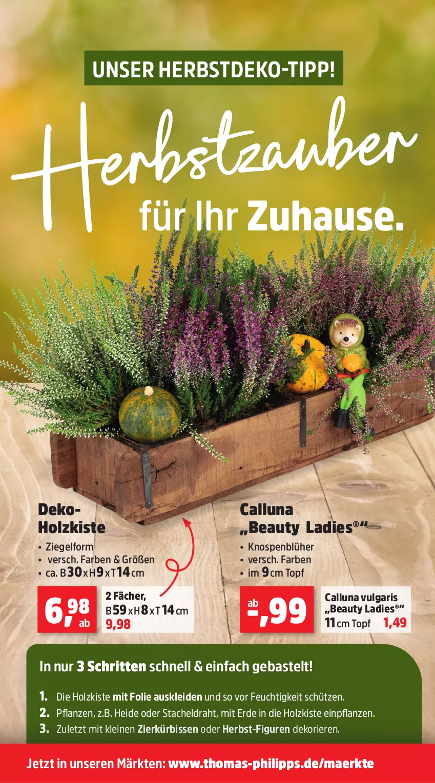 Aktueller Prospekt Thomas Philipps - von 06.10 bis 11.10.2025 - strona 4 - produkty: Draht, erde, Holz, kleid, Kürbis, leine, LG, pflanze, pflanzen, Schütze, Ti, topf