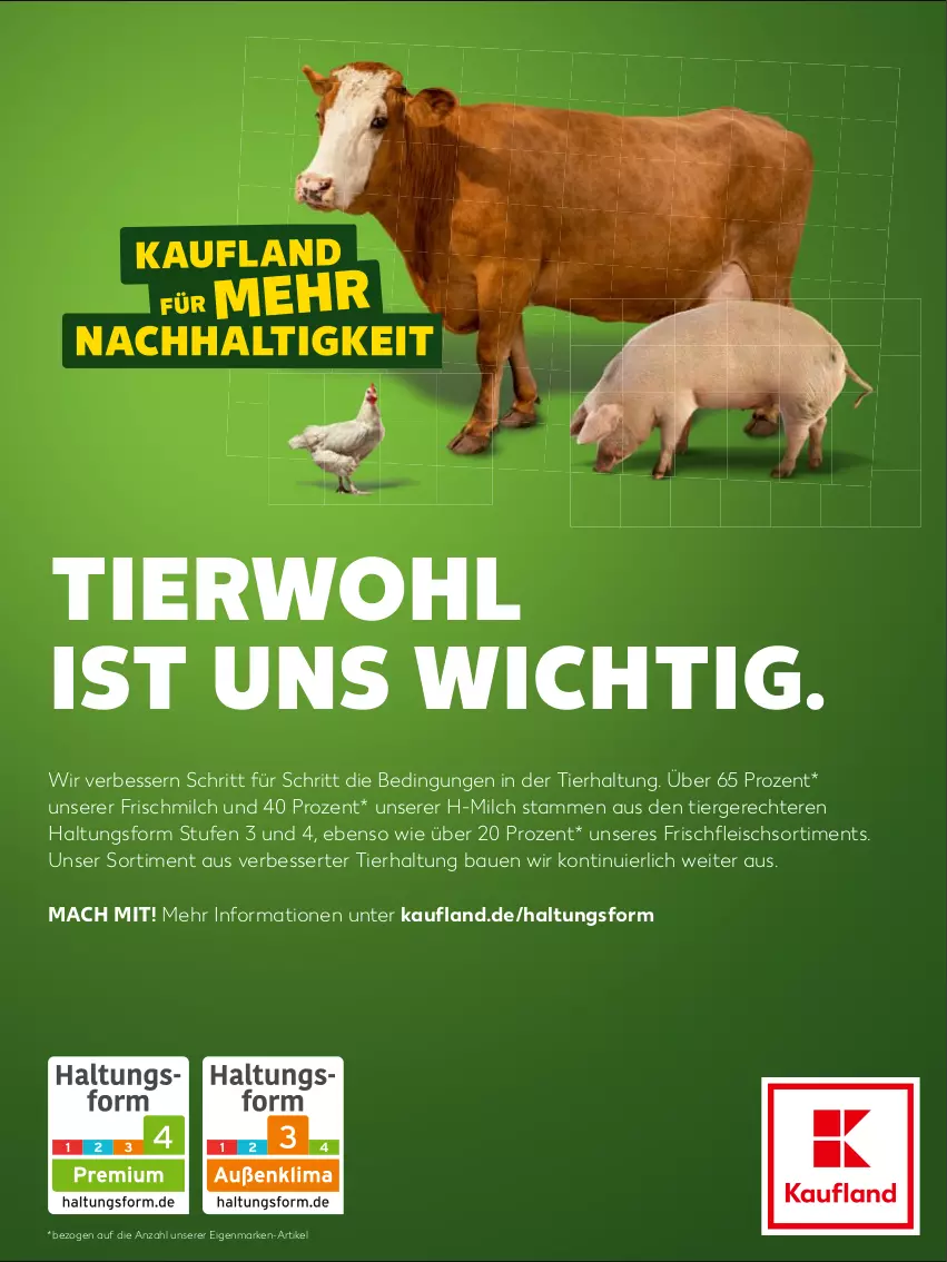 Aktueller Prospekt Kaufland - von 02.03 bis 28.04.2023 - strona 49 - produkty: Bau, eis, fleisch, mac, milch, Ti