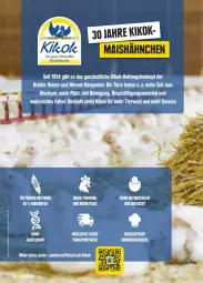 Gazetka promocyjna Edeka - Prospekte - Gazetka - ważna od 24.08 do 24.08.2024 - strona 32 - produkty: eier, eis, ente, fleisch, mais, nuss, Ria, SANTE, Ti, Tiere