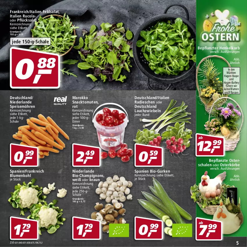 Aktueller Prospekt Real - von 28.03 bis 02.04.2022 - strona 5 - produkty: bio, blume, blumen, Blumen und Pflanzen, blumenkohl, braun, champignon, champignons, cola, eimer, eis, feldsalat, gurke, gurken, henkel, korb, Lauchzwiebel, lauchzwiebeln, möhren, pflanze, pflanzen, radieschen, reis, rucola, salat, Schal, Schale, snack, speisemöhren, Ti, tomate, tomaten, ZTE, zwiebel, zwiebeln