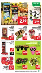 Gazetka promocyjna Marktkauf - Prospekt - Gazetka - ważna od 06.07 do 06.07.2024 - strona 7 - produkty: ackergold, aktionspreis, Becher, deka, eis, Frühkartoffeln, gurke, gurken, kartoffel, kartoffeln, LG, Manta, mini-gurken, nuss, paprika, paprika rot, pils, reis, ring, salat, Schal, Schale, speisefrühkartoffeln, Ti, tomate, tomaten, ZTE