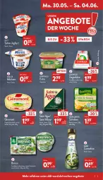 Gazetka promocyjna Aldi Nord - Aldi-Vorschau - Gazetka - ważna od 04.06 do 04.06.2022 - strona 5 - produkty: albray, aldi, angebot, angebote, Becher, bresso, chavroux, creme, eis, flasche, frischkäse, géramont, gin, grünländer, joghur, joghurt, Käse, kerrygold, milch, milchreis, Müller, rama, rama cremefine, reis, sahne, Saint Agur, saint albray, salz, Ti, ziegenkäse, zott