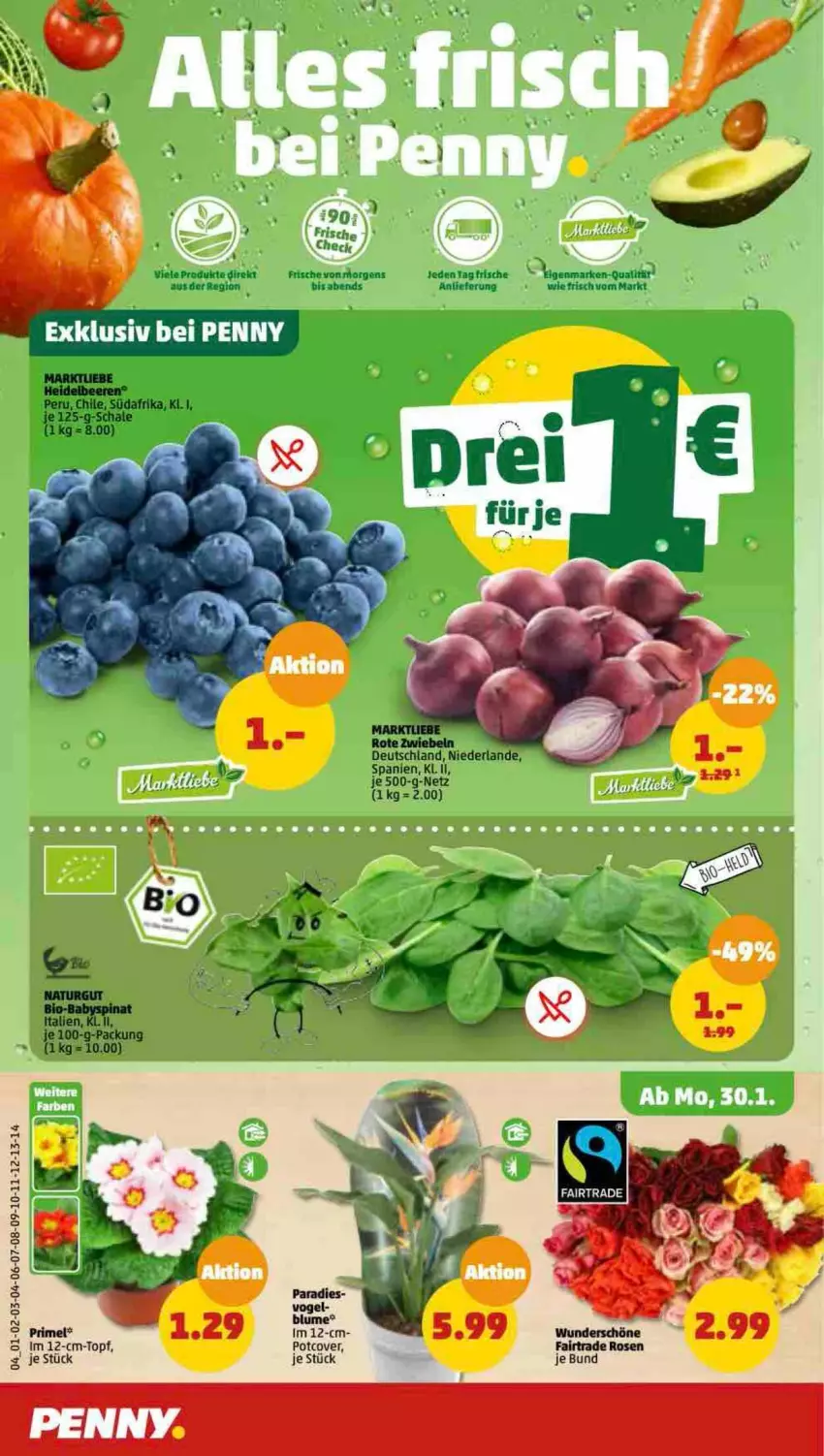 Aktueller Prospekt Penny - Prospekte - von 30.01 bis 04.02.2023 - strona 4 - produkty: beere, beeren, heidelbeere, heidelbeeren, rosen, Schal, Schale, topf, tuc