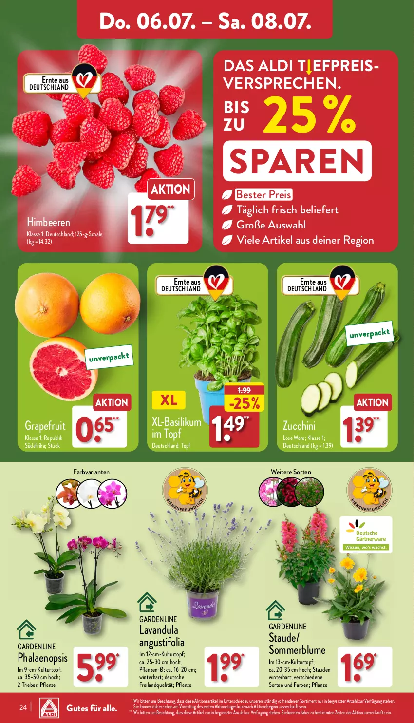 Aktueller Prospekt Aldi Nord - ALDI Vorschau - von 03.07 bis 08.07.2023 - strona 24 - produkty: aldi, basilikum, beere, beeren, blume, Blüte, Brei, eis, gin, grapefruit, himbeer, himbeere, himbeeren, kulturtopf, pflanze, pflanzen, phalaenopsis, reis, Ria, Schal, Schale, stauden, Ti, topf, ZTE, zucchini