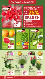 Gazetka promocyjna Aldi Nord - ALDI Vorschau - Gazetka - ważna od 08.07 do 08.07.2023 - strona 24 - produkty: aldi, basilikum, beere, beeren, blume, Blüte, Brei, eis, gin, grapefruit, himbeer, himbeere, himbeeren, kulturtopf, pflanze, pflanzen, phalaenopsis, reis, Ria, Schal, Schale, stauden, Ti, topf, ZTE, zucchini