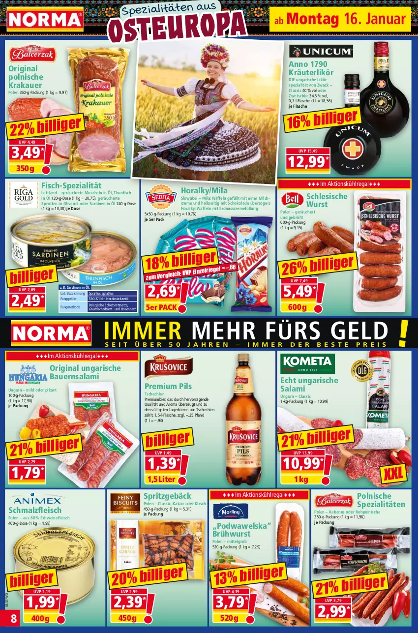 Aktueller Prospekt Norma - Norma - von 16.01 bis 23.01.2023 - strona 8 - produkty: auer, Bau, Bauer, bier, Biere, Brühwurst, creme, eis, erdnuss, fisch, flasche, fleisch, gin, hose, hosen, HP, in olivenöl, kabanos, kakao, kirsch, krakauer, kräuter, kräuterlikör, kühlregal, Lagerbier, LG, likör, malz, milch, Muscheln, nuss, olive, oliven, olivenöl, pils, premium pils, Premiumbier, regal, riegel, salami, Sardinen, Schmalz, schoko, schokolade, schwein, schweine, schweinefleisch, Spezi, Sprotten, thunfisch, Ti, Ungarische Salami, waffeln, wein, weine, Wels, wurst