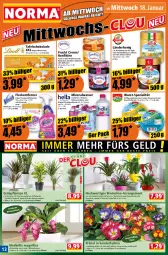 Gazetka promocyjna Norma - Norma - Gazetka - ważna od 23.01 do 23.01.2023 - strona 12 - produkty: Alwa, aprikose, aprikosen, auer, Bau, Bauer, beere, beeren, Birnen, Blüte, Bromelie, chia, creme, erdbeere, erdbeeren, flasche, fleckentferner, frucht, gin, Grünpflanzen, gutsleberwurst, himbeer, himbeere, himbeeren, hochland, honig, konfitüre, kulturtopf, leberwurst, mac, mango, melone, melonen, Mett, milch, mineralwasser, nuss, orange, pfirsich, pflanze, pflanzen, rwe, Schal, Schale, schoko, schokolade, Spezi, tafelschokolade, Ti, topf, übertopf, vollmilch, wasser, wurst