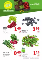 Gazetka promocyjna Metro - Obst & Gemüse Frischepreise - Gazetka - ważna od 04.05 do 04.05.2022 - strona 1 - produkty: abholpreise, angebot, angebote, beere, beeren, bio, brut, eis, heidelbeere, heidelbeeren, ilag, kräuter, Lauchzwiebel, lauchzwiebeln, Metro, obst, radieschen, Rauch, reis, rwe, salat, Ti, trauben, und gemüse, Wild, zwiebel, zwiebeln
