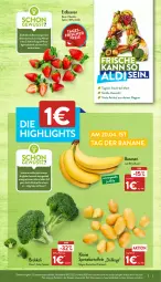 Gazetka promocyjna Aldi Nord - Aldi-Aktuell - Gazetka - ważna od 23.04 do 23.04.2022 - strona 3 - produkty: aldi, banane, bananen, beere, beeren, brokkoli, dessert, eis, erdbeere, erdbeeren, essig, grill, kartoffel, kartoffeln, lebensmittel, leine, LG, Rauch, reis, Schal, Schale, speisekartoffeln, Ti, tuc, wasser, Yo