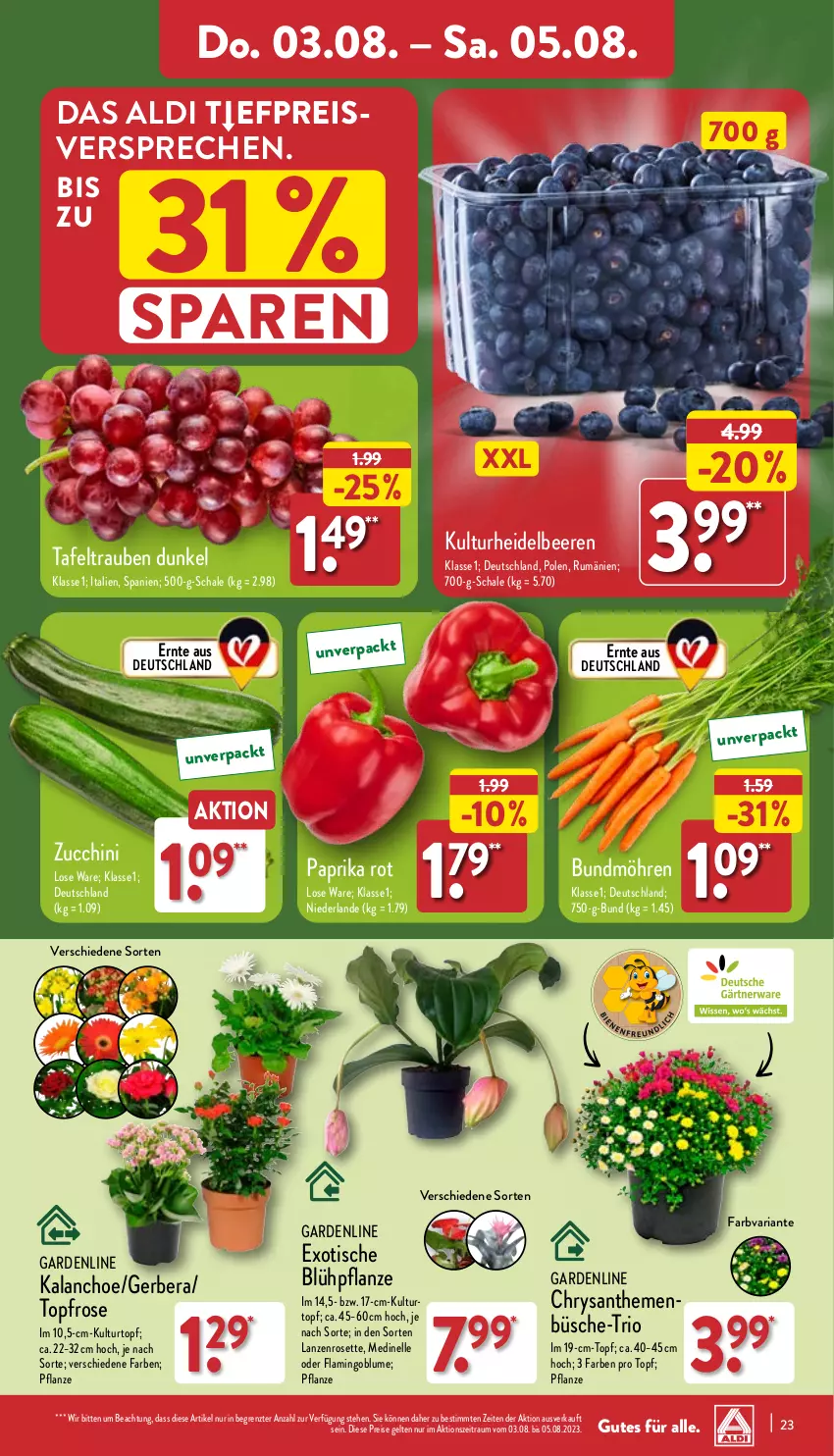 Aktueller Prospekt Aldi Nord - Von Montag - von 31.07 bis 05.08.2023 - strona 23 - produkty: aldi, beere, beeren, blume, Blüte, Brei, Bundmöhren, chrysanthemen, eis, elle, Gerber, heidelbeere, heidelbeeren, HP, Kalanchoe, kulturtopf, möhren, paprika, paprika rot, pflanze, reis, Ria, rum, Schal, Schale, Ti, tisch, topf, trauben, ZTE, zucchini