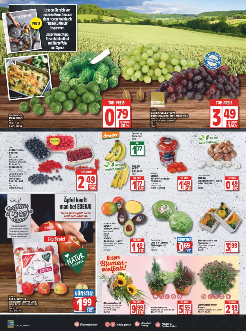 Aktueller Prospekt Edeka - Angebote der Woche - von 04.10 bis 09.10.2021 - strona 8