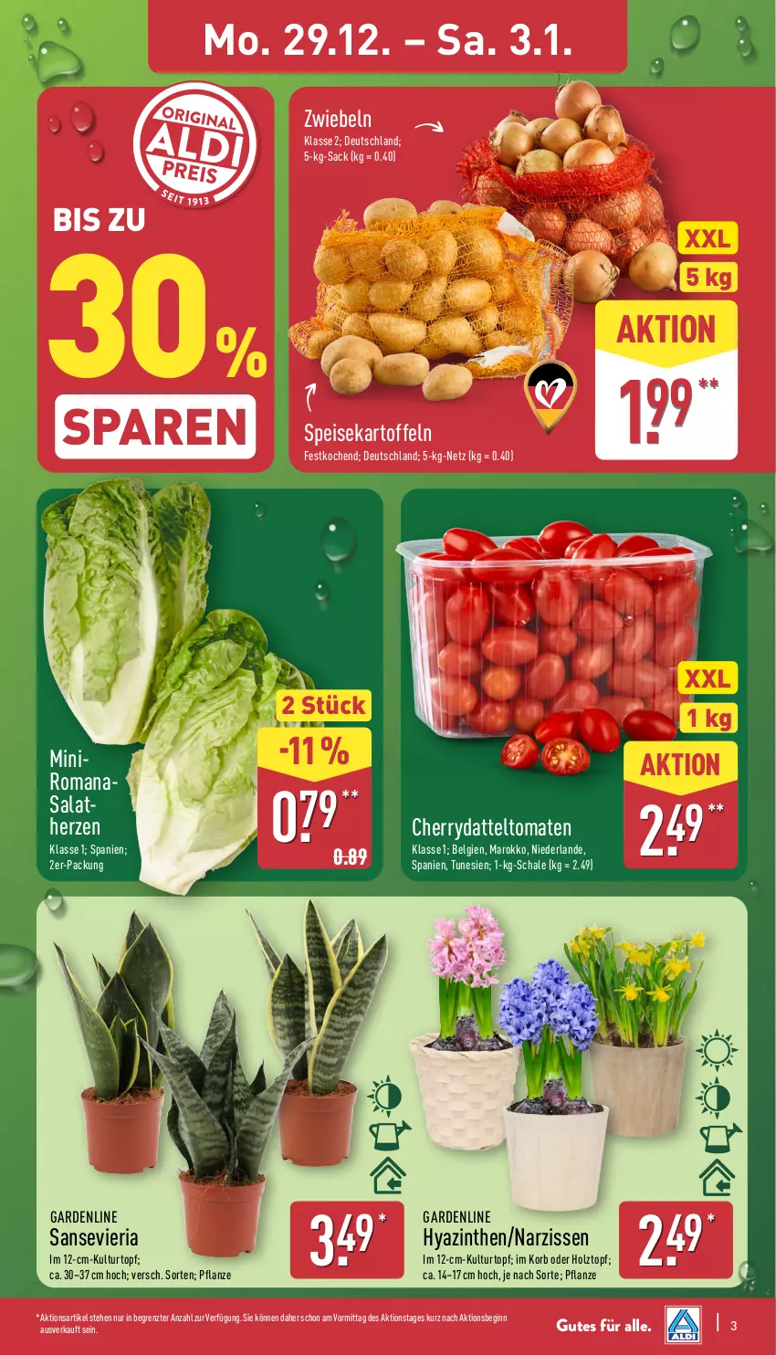 Aktueller Prospekt Aldi Nord - Von Montag - von 29.12.2025 bis 03.01.2026 - strona 3 - produkty: Blüte, Brei, datteltomaten, eis, gin, Holz, kartoffel, kartoffeln, korb, kulturtopf, LG, Narzissen, pflanze, Ria, Romanasalat, sac, salat, Schal, Schale, speisekartoffeln, Ti, tomate, tomaten, topf, ZTE, zwiebel, zwiebeln