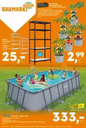 Gazetka promocyjna  - Gazetka - ważna od 06.06 do 06.06.2026 - strona 16 - produkty: beere, chili, Eckregal, eis, globus fachmärkte, gurke, Holz, Jura, kartoffel, melone, melonen, pool, regal, Ria, snack, steckregal, tomate, topf, wasser, wassermelone, zucchini