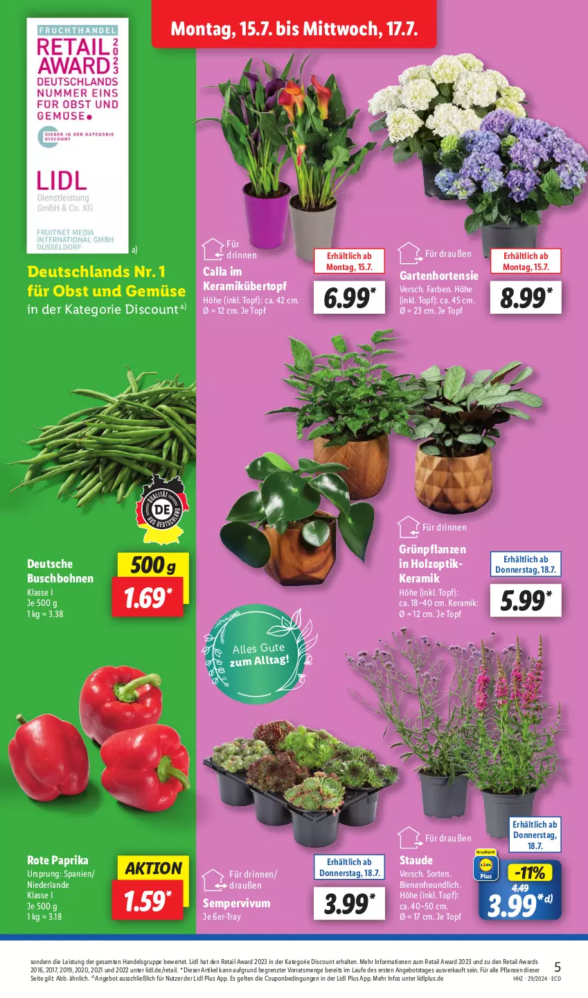 Aktueller Prospekt Lidl - Aktionsprospekt - von 15.07 bis 20.07.2024 - strona 5 - produkty: angebot, bohne, bohnen, Buschbohnen, coupon, discount, eis, Garten, Grünpflanzen, Holz, hortensie, obst, Obst und Gemüse, paprika, pflanze, pflanzen, Sempervivum, Ti, topf, übertopf, und gemüse, ZTE